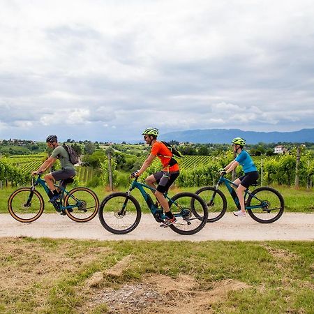 Agriturismo Vidalli Colvidor 외부 사진