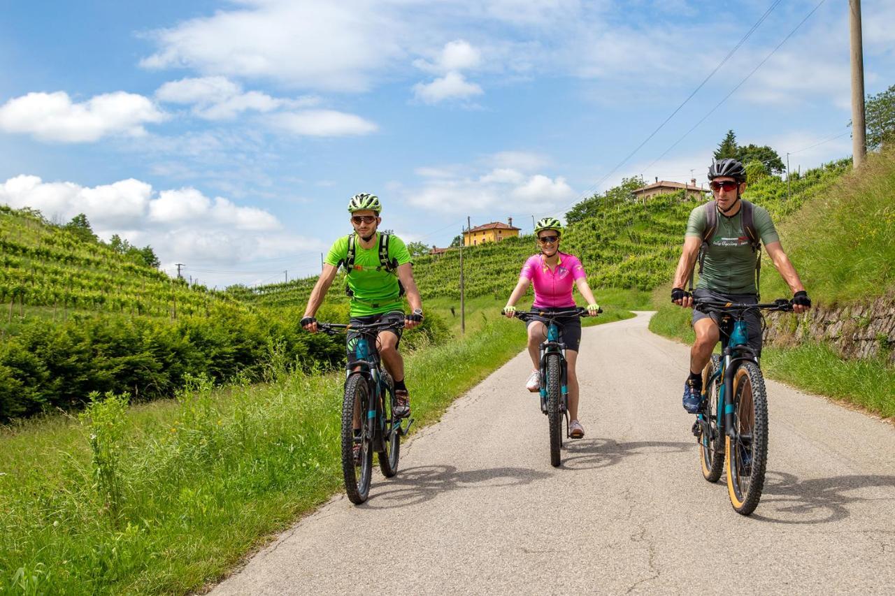 Agriturismo Vidalli Colvidor 외부 사진